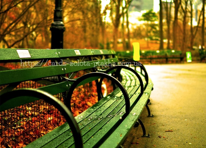 Row of green park benches along a leaf-covered path in a golden autumn park