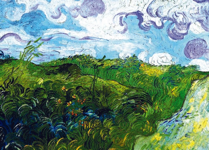 Van Goghs Grüne Weizenfelder in Auvers — grüne Gräser unter violett-grauen Wolken und blassem Himmel.