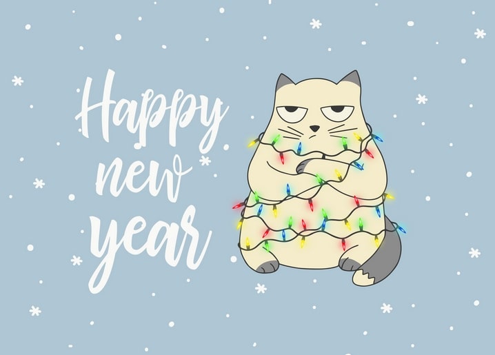 Grumpy cream cat tangled in colorful string lights on a blue snowy background