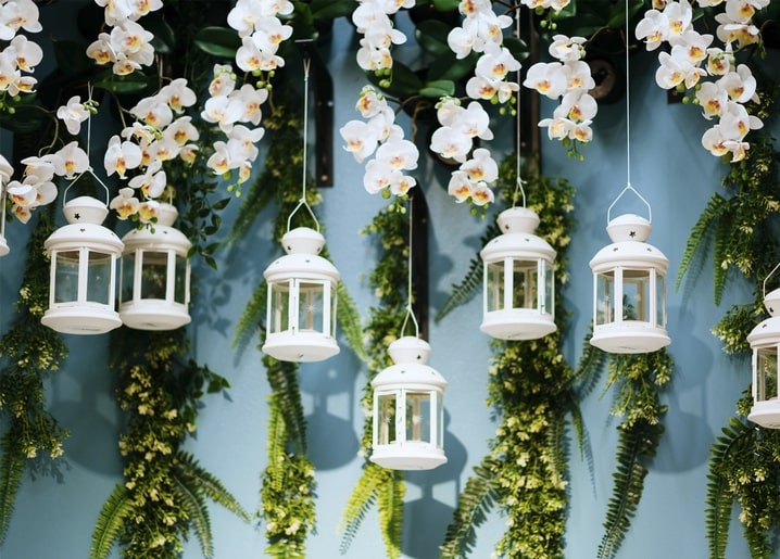 White orchids and ferns hanging above small white lanterns on a blue wall