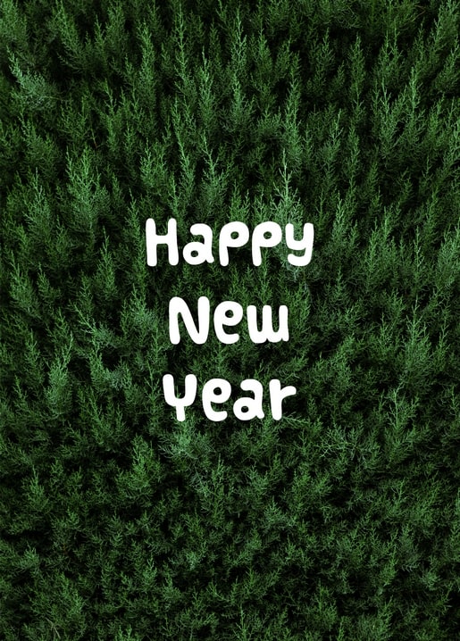 ‘Happy New Year’ lettering over an aerial view of dense dark green pine trees