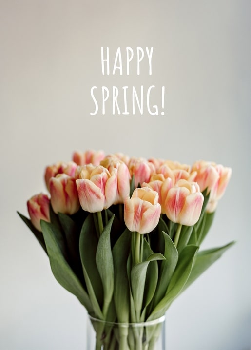 Pfirsichfarbener Tulpenstrauß in einer Glasvase mit Frühlingsgruß