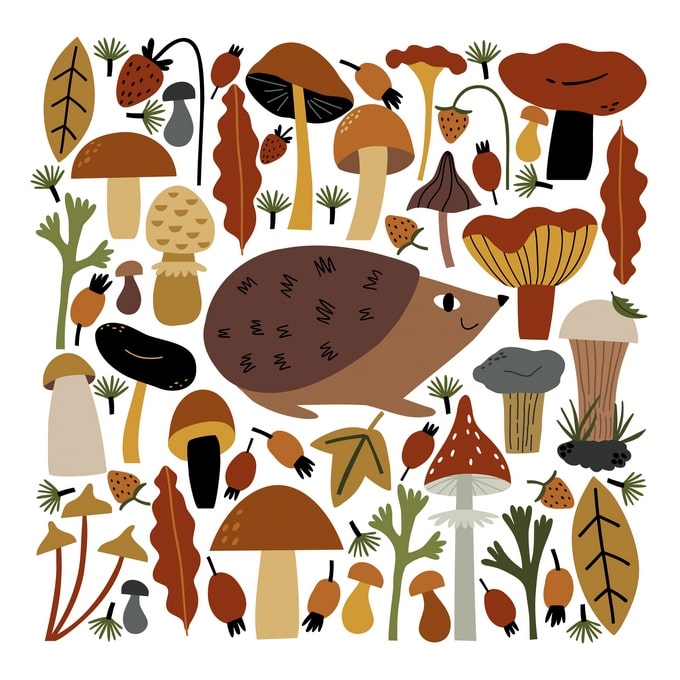 Flat-Design-Illustration eines Igels zwischen Waldpilzen, Walderdbeeren und Herbstlaub