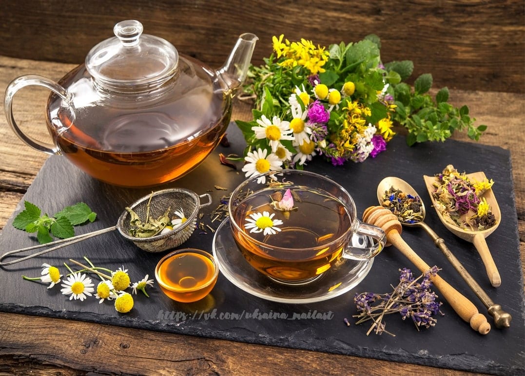 Glasteekanne und Tasse Kräutertee mit Kamille, Klee, Honig und Lavendel