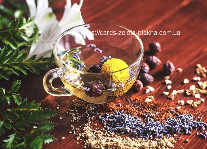 Glastasse Kräutertee mit Hagebutten, Ringelblume und Lavendel auf einem Holztisch