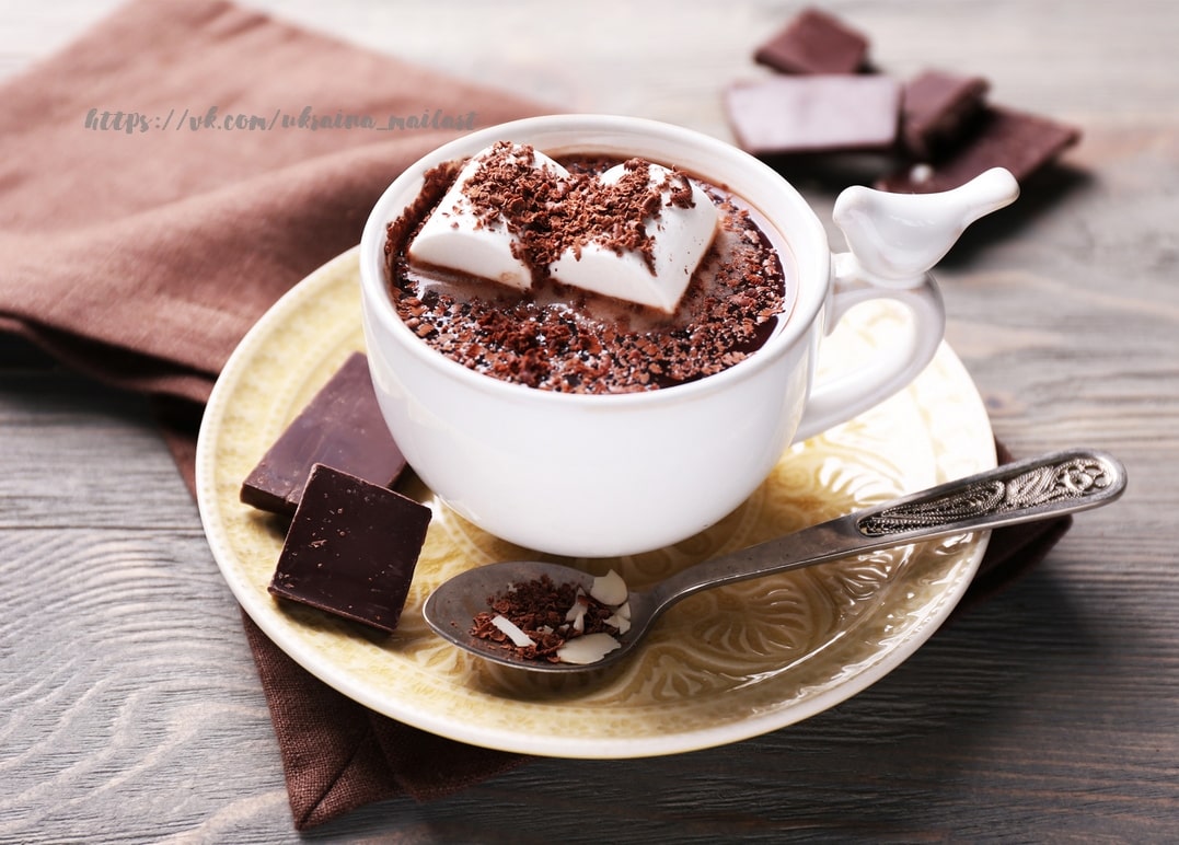 Tasse heiße Schokolade mit schmelzendem Marshmallow, geriebener und dunkler Schokolade