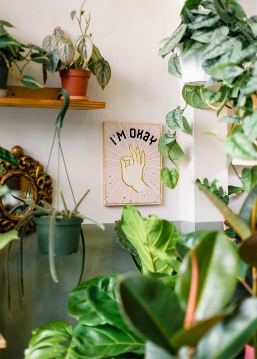 ‘I'm okay’ hand print on a wall surrounded by monstera, pothos and other houseplants