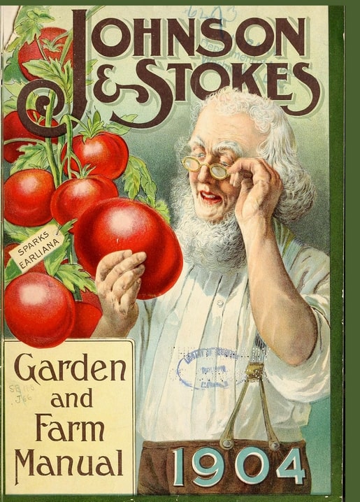 Вінтажна обкладинка каталогу Johnson & Stokes 1904 року з бородатим чоловіком і томатом