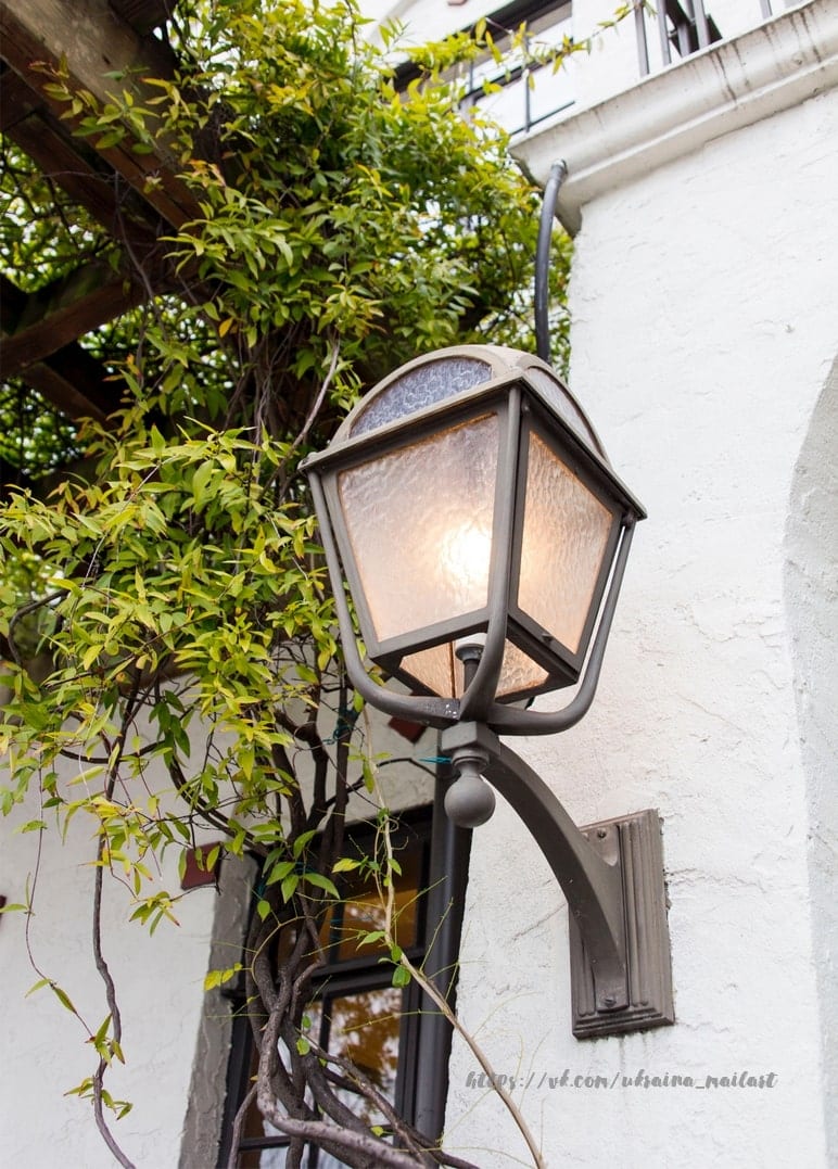 Wandlaterne leuchtet in der Abenddämmerung zwischen grünen Ranken an weißer Wand