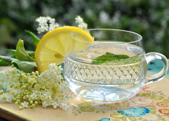 Glas Eistee mit Zitrone, Holunderblüten und Minze, umgeben von frischen Holunderblüten