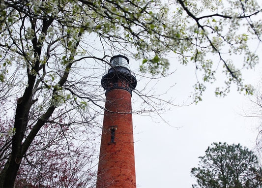 Backstein-Leuchtturm zwischen blühenden Frühlingszweigen vor blassem Himmel