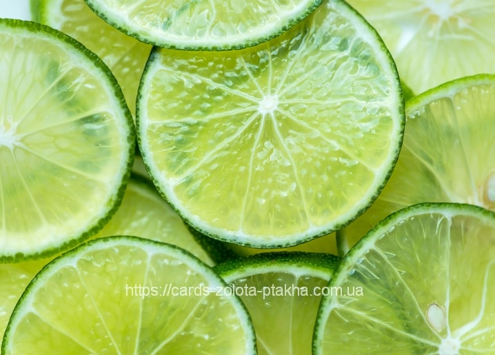 Makroaufnahme frischer Limettenscheiben, die das Bild in Grün füllen