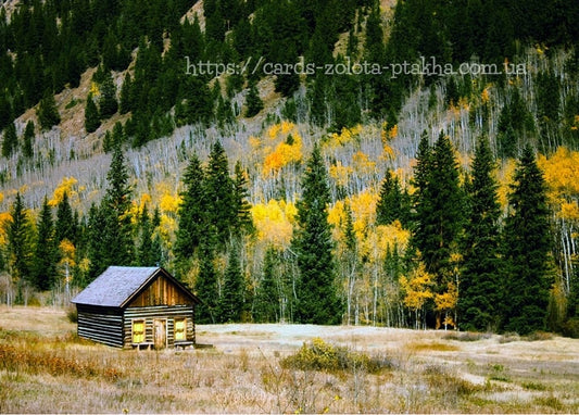 Wooden log cabin in a mountain meadow surrounded by pines and golden autumn aspens