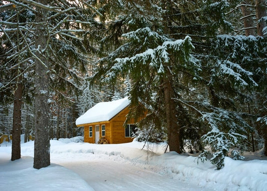 Small wooden cabin buried in snow among tall spruce trees in a winter forest