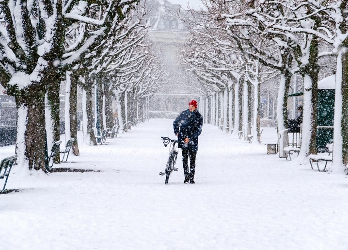 Man pushing a bicycle down a snow-covered tree-lined park avenue during snowfall