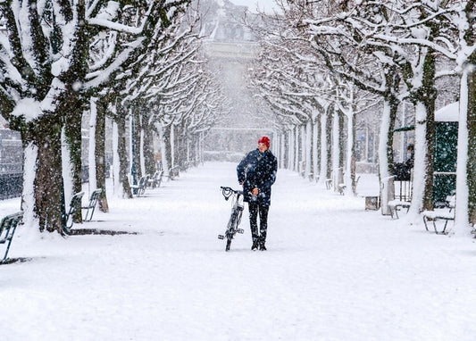 Man pushing a bicycle down a snow-covered tree-lined park avenue during snowfall