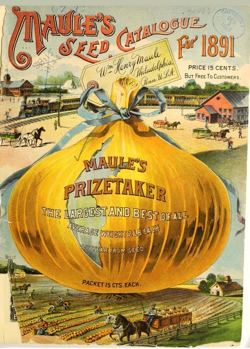 Вінтажна обкладинка каталогу насіння Maule's 1891 року з гігантською цибулиною
