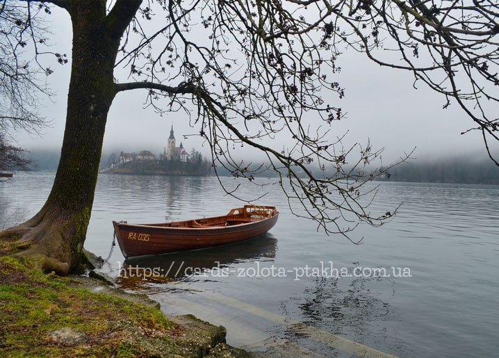 Wooden rowboat moored by a foggy lake shore beneath bare branches, island church in mist