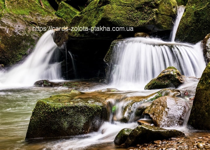 Kleine moosbewachsene Wasserfälle über Felsen in einer schattigen Waldschlucht