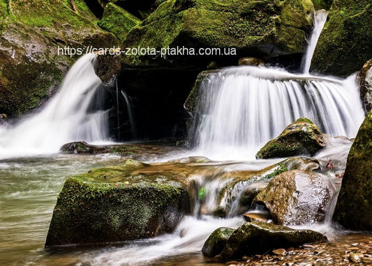 Kleine moosbewachsene Wasserfälle über Felsen in einer schattigen Waldschlucht