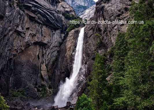 Schmaler Wasserfall an einer grauen Granitwand neben einer einzelnen Kiefer