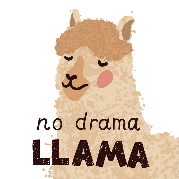 Illustrated cream llama with curly fur and the hand-lettered phrase 'No drama llama'