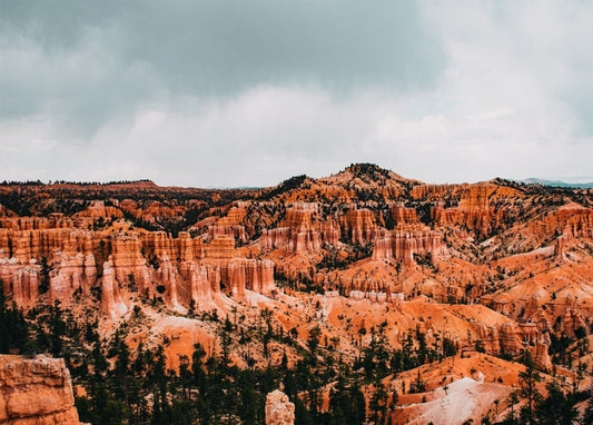 Orangefarbene Felstürme und Hoodoos in einem Canyon mit Kiefern unter bewölktem Himmel