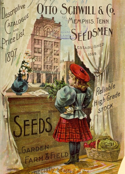 Вінтажна обкладинка каталогу Otto Schwill & Co. 1897 року з дівчинкою в червоному береті