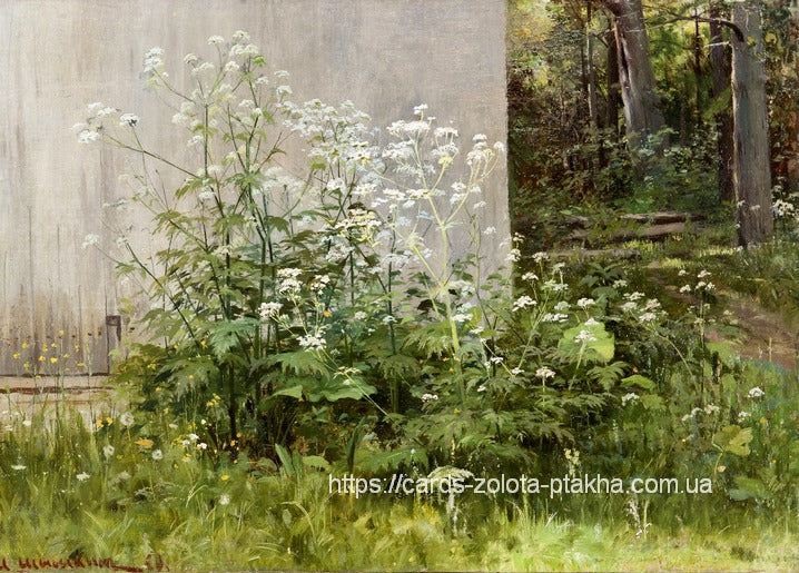 Листівка Ivan Shishkin / Видавничий дім "Золота Птаха"