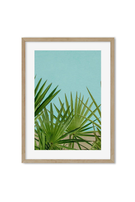 Fan palm leaves silhouetted against a bright turquoise sky