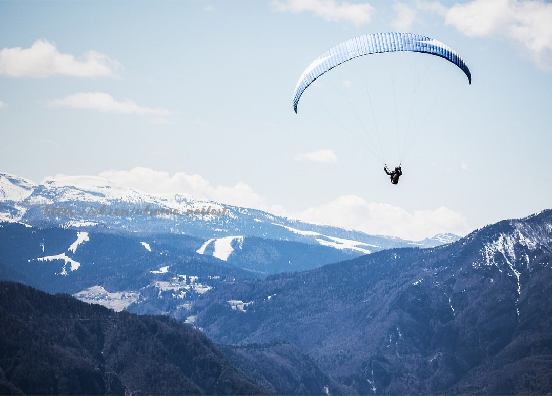 Gleitschirmflieger über schneebedeckten Alpengipfeln und einem bewaldeten Tal
