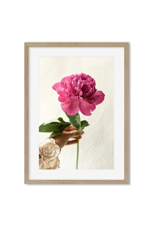 Hand in lace sleeve holding a single pink peony against a cream background