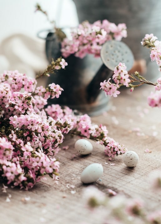 Pink blossom sprigs, a vintage watering can and speckled quail eggs