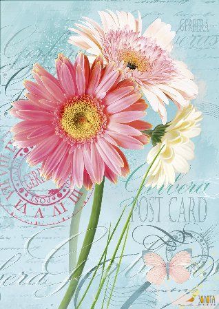 Zwei rosa Gerbera-Blüten und eine cremefarbene Blüte mit Schmetterling auf blauer Vintage-Postkarte