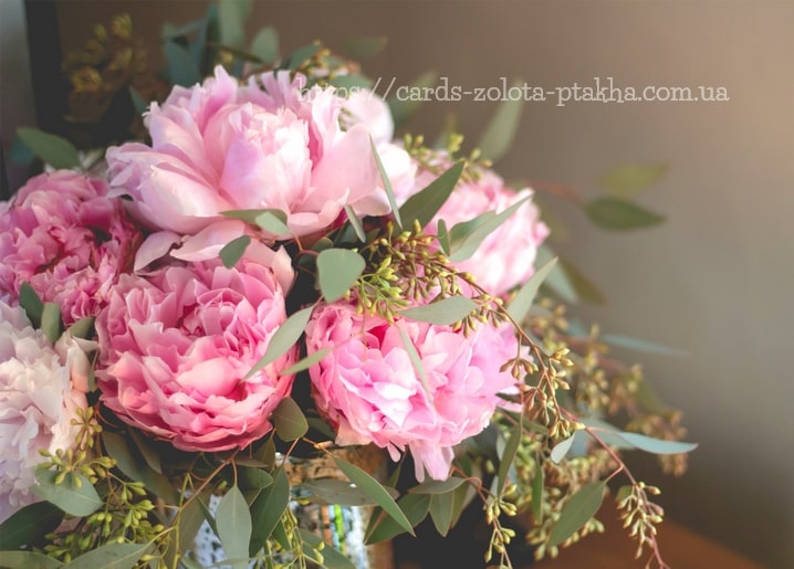 Strauß rosa Pfingstrosen mit Eukalyptuszweigen im warmen goldenen Licht