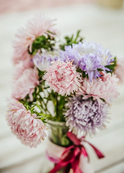 Bouquet of pink and purple asters in a glass vase with a burgundy ribbon
