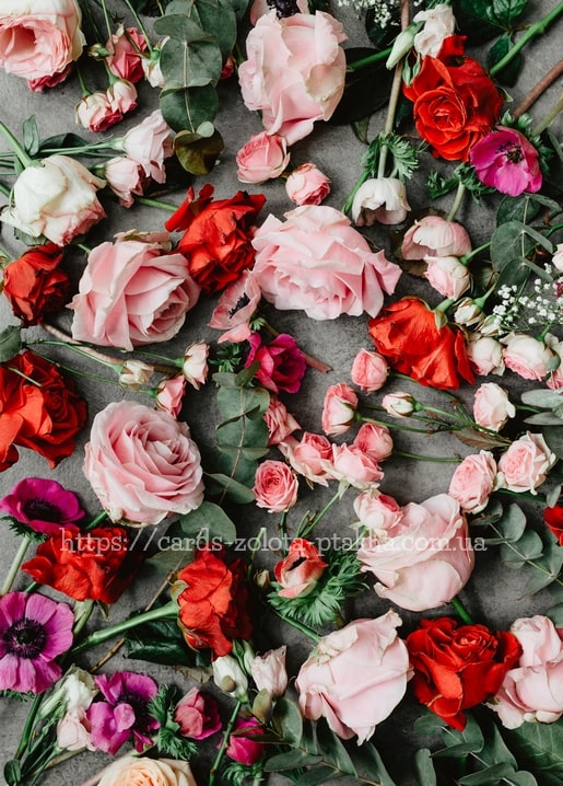 Flatlay aus rosa und roten Rosen mit dunklen Anemonen auf grauem Stein