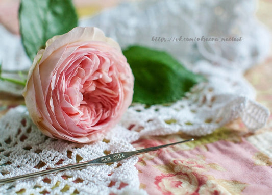 Zartrosa Gartenrose auf weißer Häkelspitze neben einer silbernen Häkelnadel