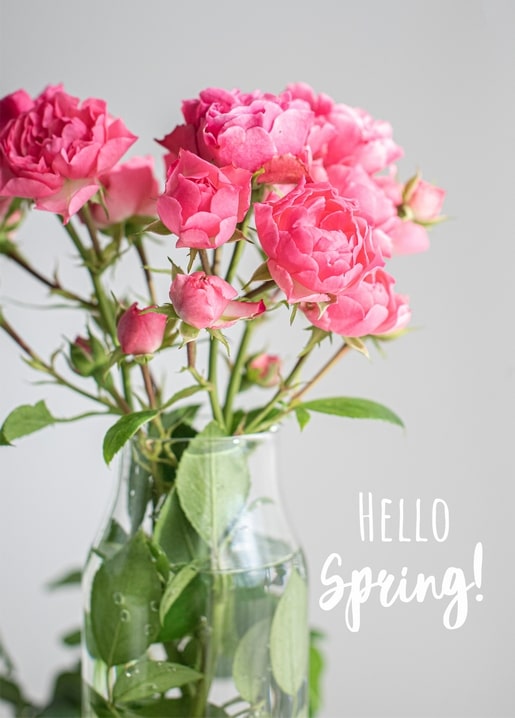 Glass vase of pink garden roses with a hand-lettered Hello Spring greeting