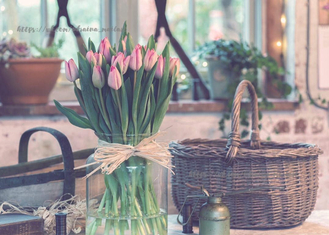 Strauß rosa Tulpen im Glas, daneben Weidenkorb und alte Gießkanne auf einem Fensterbrett