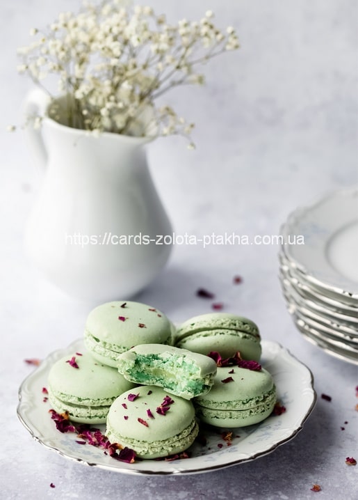 Pistachio-green macarons with dried rose petals on a plate, beside a jug of baby's breath flowers