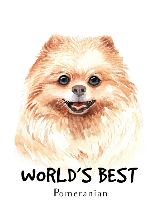 Aquarell-Postkarte mit Zwergspitz und Schriftzug „Weltbester“