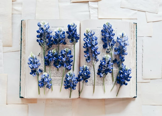 Zweige blauer Lupinen auf einem aufgeschlagenen Buch zwischen Papierschnipseln