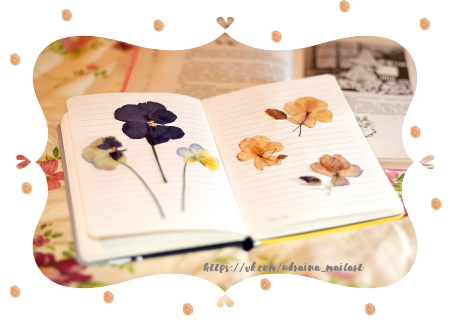 Pressed purple, yellow and blue pansies lying open in a lined notebook next to an old book