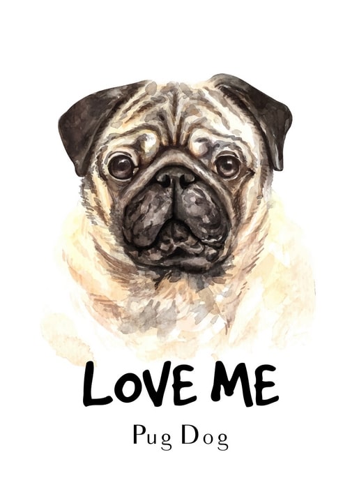 Aquarellporträt eines Mopses mit der Bildunterschrift „Liebe mich“