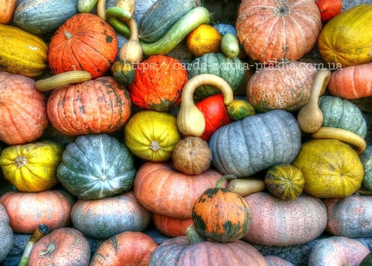 Overhead view of orange, yellow, and blue-green pumpkins and gourds piled together
