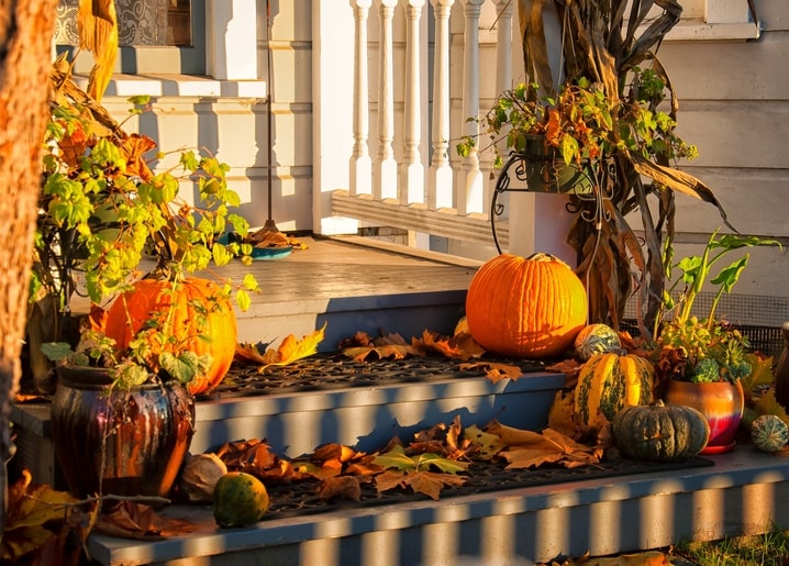 Kürbisse und Zierkürbisse schmücken eine sonnige Herbstveranda