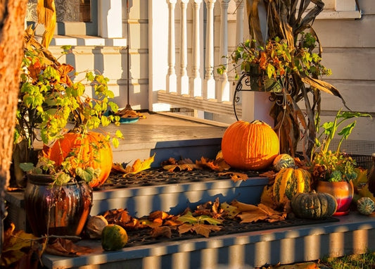 Kürbisse und Zierkürbisse schmücken eine sonnige Herbstveranda