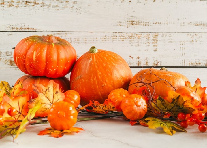 Orange pumpkins of various sizes with maple leaves and red berries on whitewashed wood planks