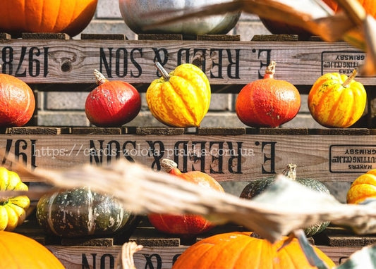 Orange, red and yellow pumpkins and gourds stacked on rustic wooden crates